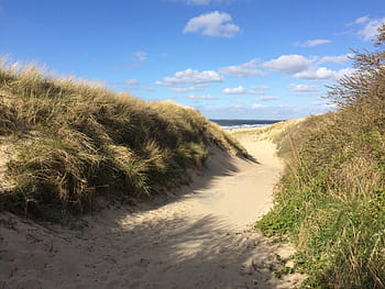 Holandsko, zeeland, pláž, pobřeží Severního moře, Severní moře, Nizozemí, písečná duna, Příroda, marram trávy, moře, písek