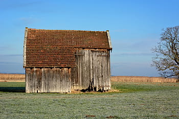 marron, rouge, en bois, cabanon, milieu, vert, herbeux, plaine, Grange, cabane, grange de champ