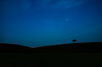 minimalista, albero, paesaggio, silhouette, natura, ombra, sfondo, notte, cielo, luce, atmosfera