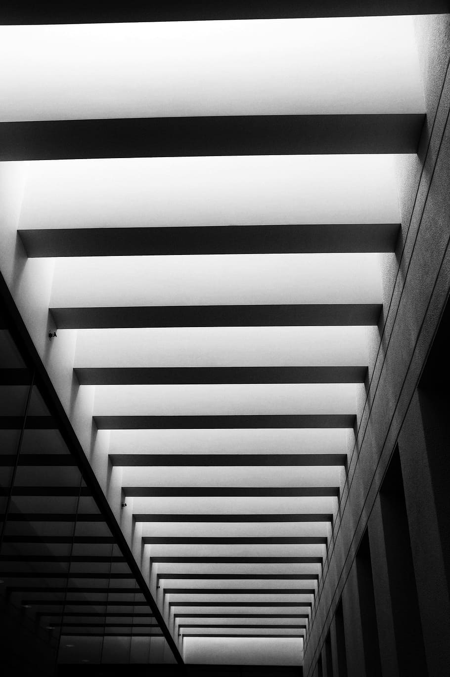 architecture, building, infrastructure, black and white, ceiling