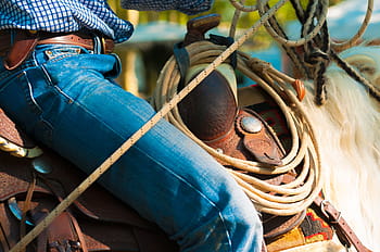 person, riding, horse, saddle, whip, jumper, lasso, cowboy, adult, people, outdoors