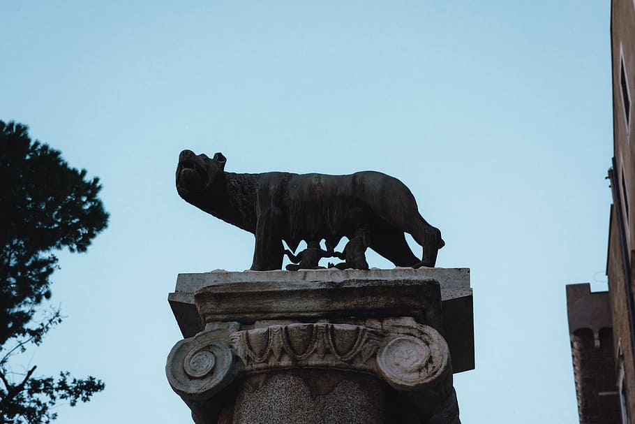 capitoline wolf, taide ja viihde, matkakohteet, patsas, veistos, arkkitehtuuri, monumentti, kuuluisa paikka, Eurooppa, historia, arkkitehtuuri ja rakennukset