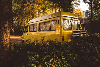 giallo, furgone, parcheggiata, albero, auto, veicolo, verde, piante, natura, alberi, strada