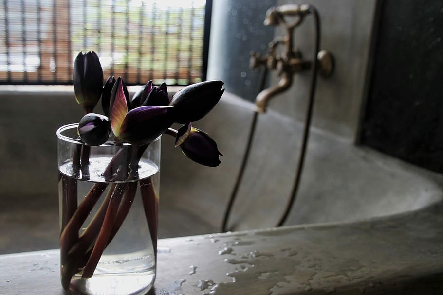 purple, flowers, vase, top, bathtub, faucet, water, cup, no one, under the roof, still life