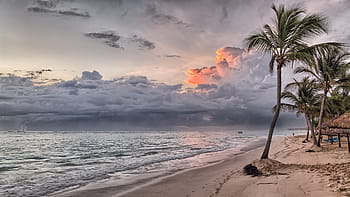 white, blue, boat, body, water painting, coconut trees, seashores, cloudy, sky, beach, dominican republic