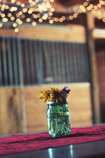 glass, jar, container, water, flowers, display, interior, table, bokeh