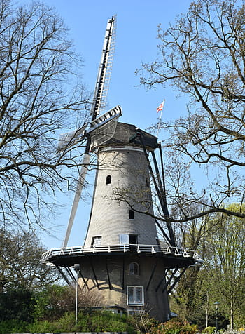 Mühle, Windmühle, Niederländische Mühle, Dochte, Mühlenblätter, Mühle Detail, historische Mühle, alkmaar