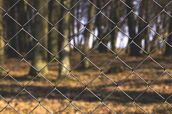 selektivní, zaostřovací fotografie, šedá, Drátěný plot, nerez, ocel, cyklón, plot, řetěz, park, Příroda