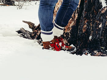 persona, indossare, scarpe da ginnastica alte, in piedi, accanto, tronco, la neve, blu, denim, jeans, rosso