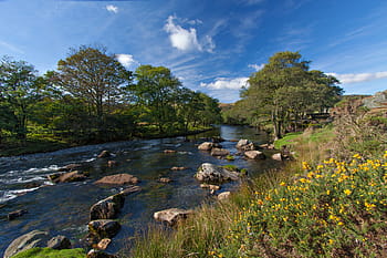 esk del fiume, distretto del Lago, Cumbria, Inghilterra, natura, estate, acqua, paesaggio, fiume, Paesaggi, all'aperto