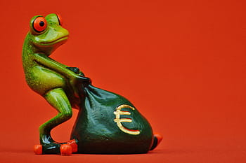 red-eyed tree frog, pulling, bag figurine, frog, money, euro, bag, money bag, funny, cute, fun