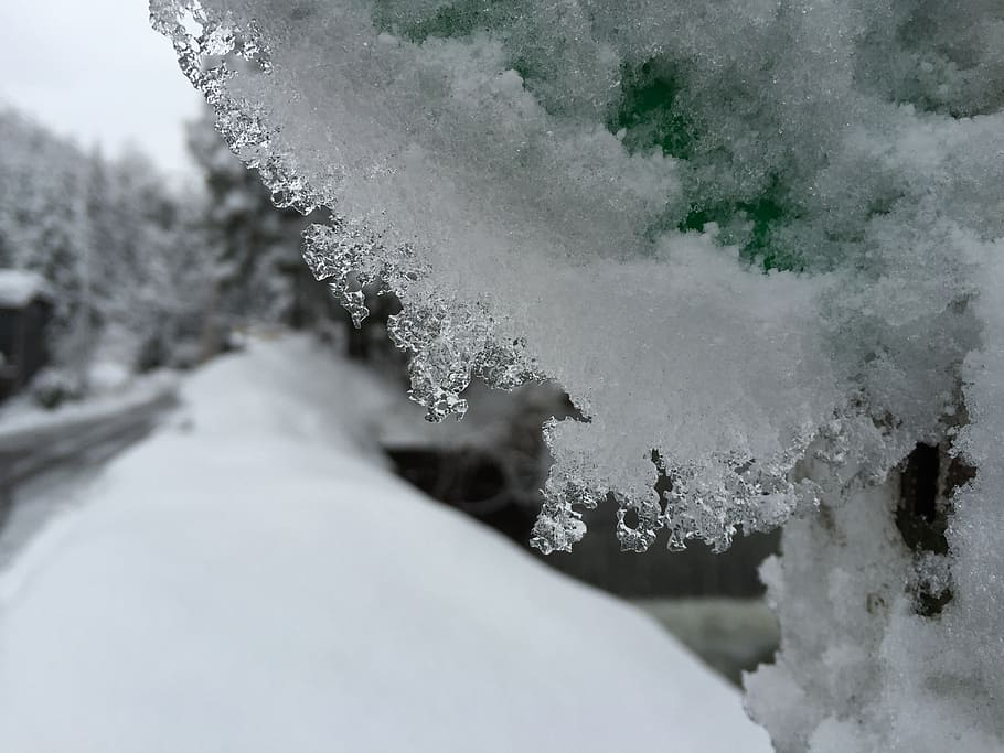 ice, views, winter, macro, snow, nature, cold - Temperature, frost, frozen, white, outdoors