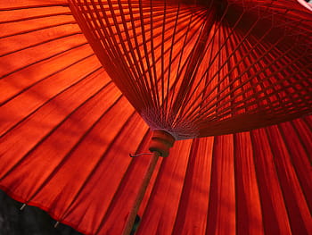 red, paper oil umbrella wallpaper, japan, umbrella, tea, k, bangasa white, cultures, asia, parasol