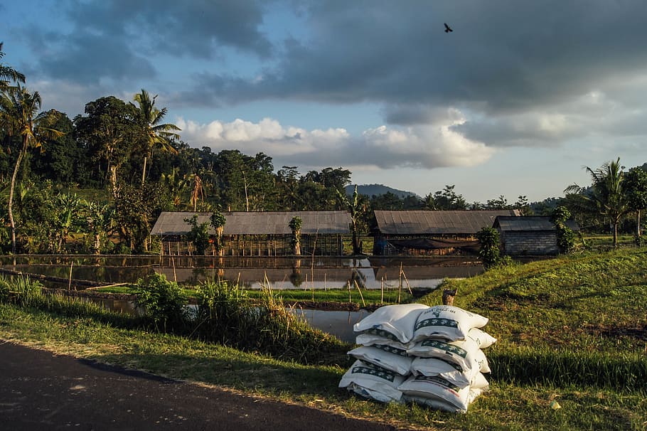 piled, white, sacks, grass field, body, water, cloudy, skies, farming, fertiliser, barn