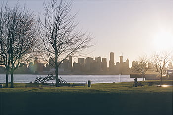 bare, trees, body, water, sea, sunrise, park, grass, benches, lake, skyline