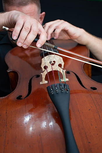 cello, music, classic, sound, strings, wood виолончель, смычок, concert, orchestra, musician, melody