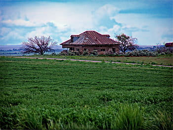 brown, wooden, house, front, green, grass field, surrounded, grass, field, rural, countryside