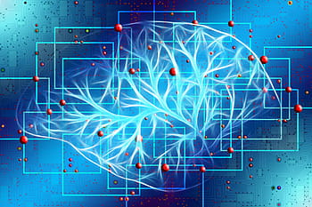 血液静脈図、 人工知能、 脳、 思考、 制御、 コンピュータサイエンス、 電気工学、 技術、 開発者、 コンピュータ、 人間