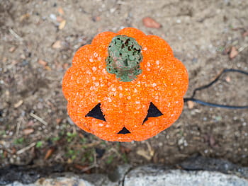 jack-o'-lucerna u zdi, oranžový, dýně, výzdoba, šperky, předvečer Všech svatých, oranžová barva, den, venku, detail, antropomorfní tvář