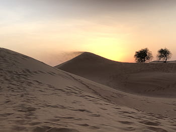 desert, sand, sol, sunset, hot, wind