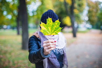 jovem, menina, exploração, outono, Young Girl, Colorido, Folha de bordo, bokeh, frio, mãos, folhas