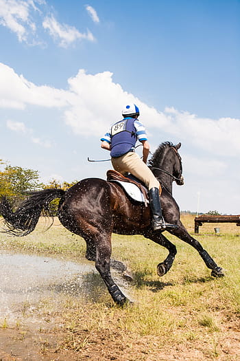 muž, jezdectví, kůň, koně a jezdce v zatáčkách rychlostí, vodní skok, eventing, třídenní akce, cross country, jezdecký, jezdec, týmová práce