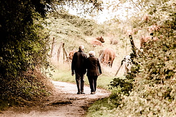 couple, walking, street, daytime, pair, seniors, pensioners, age, silhouette, human, person