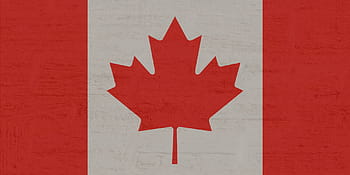 canada flag illustration, canada, flag, maple, red, white