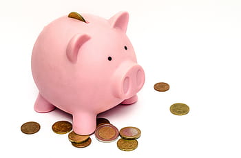 pink, gold-colored coins, money, savings, financial, economy, success, cash, company, bank, pig