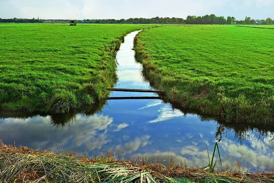 vodní cesty, travnaté banky, louky, venkovský, zemědělské půdy, polder, holandské krajiny, krajina, horizont, modré nebe, slunečný den