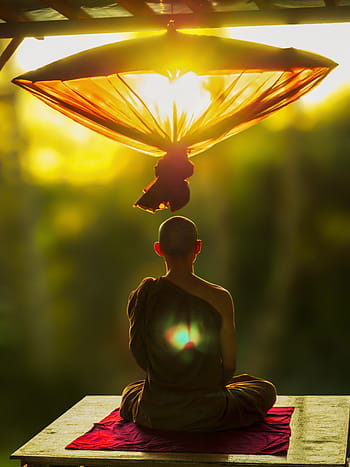 člověk přemýšlí, theravada buddhismus, přemýšlet, deštník, mnich meditoval, theravada, buddhismus, rozjímání, chrám, kultura, náboženský