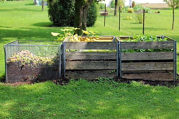 green, vegetables, inside, square, brown, wooden, fence, green vegetables, compost, garden, waste