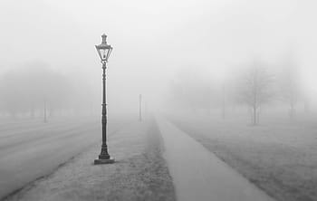 grayscale photo, lamp post, covered, mist, concrete, pathway, foggy, weather, sidewalk, park, nature