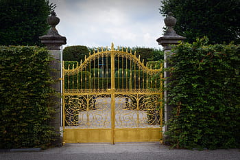 amarelo, portão de metal, ao lado, verde, plantas de folhas, ferro forjado, portão de ferro, objetivo, portão, ouro, portal
