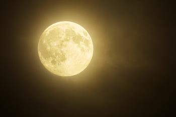 úplněk, měsíc, noc, měsíční svit, atmosféra, super měsíc