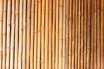 brown bamboos, Bamboo, Texture, red, backgrounds, bamboo - Material, pattern, nature, wood - Material, bamboo - Plant, brown