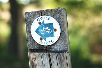 cycle, route, bicycle, bike, wood, trees, blur, exercise, hobby, sport