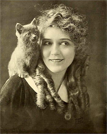 grayscale photography, cat, woman shoulder illustration, mary pickford, actress, motion pictures, films, 24th greatest, female stars of all time, little mary, girl with the curls
