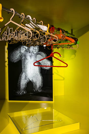 vários, instalações de arte, exposição, arte, projeto, instalação, galeria, ninguém, dentro de casa, tiro do estúdio, dia