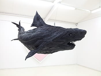 art, shark, art gallery
