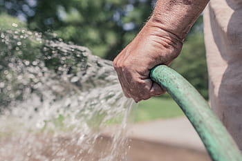 person, holding, green, water hose, water, hose, garden hose, gardener, spray, hands, human hand