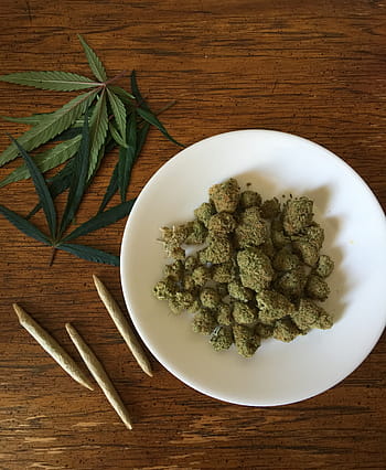 piatto, verde, Kush, canapa, marijuana, erba, droga, medicina, pianta, medico, narcotico