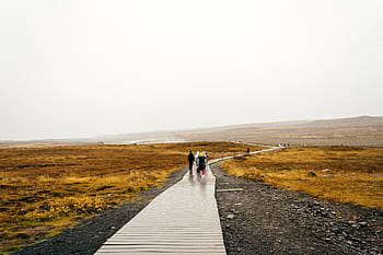 group, people, walking, road, white, sky, daytime, men, friends, family, travel