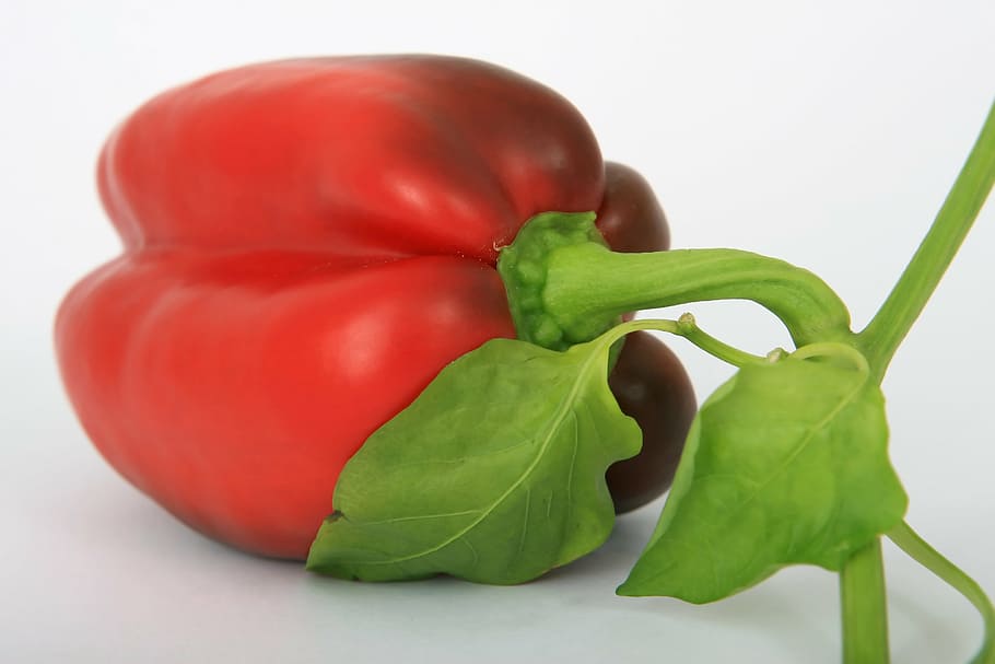 appetite, calories, closeup, close-up, colorful, culinary, delicious, diet, dieting, food, garden