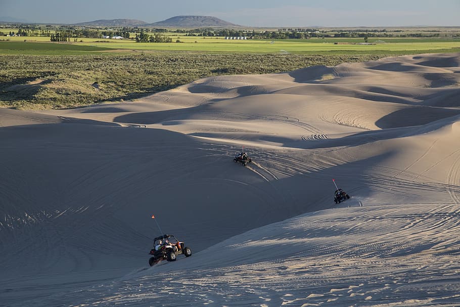 sand dunes, landscape, dune buggies, recreation, outdoors, desert, fun, vehicles