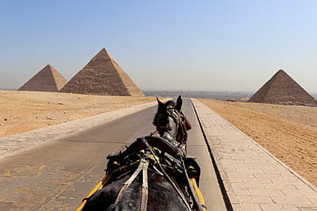Káhira, pyramida, kůň, Egypt, sfinga, pyramidy, Gíza, egyptský, poušť, starověké, Dějiny
