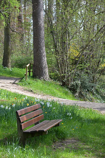 banca, panchina del parco, giardino, panca da giardino, riposo, recupero, foresta, posto a sedere, sedersi, su, alberi
