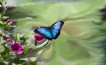 macro photo, morpho butterfly, pink, flower, blue butterfly, petunia, garden green, blue, butterfly, photo painting, pixel painting