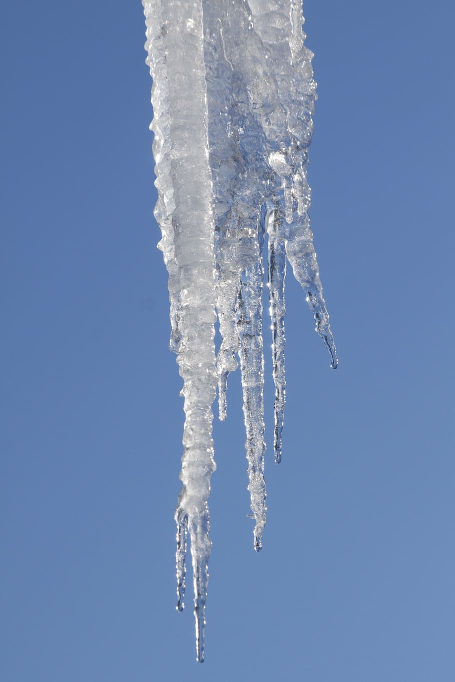 pointed ice, ice, icicle, cold, winter, white, blue, frost, snow, frozen, zing rain