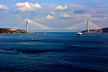white cable-stayed bridge, gray, metal, bridge, near, sea, ocean, water, blue, sky, cloud